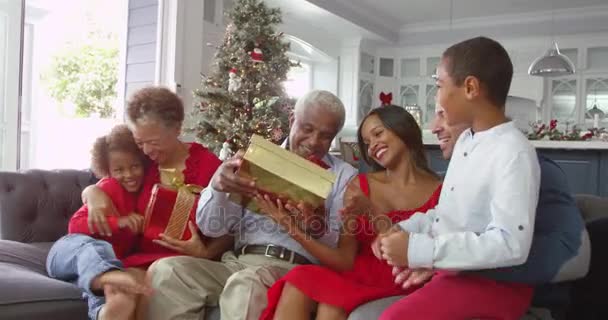 Crianças dão presente de Natal aos avós — Vídeo de Stock