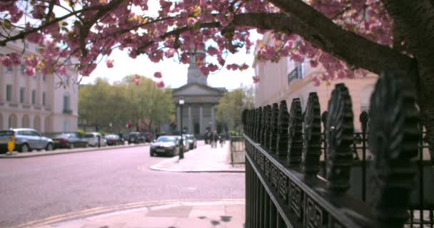London Street im Frühling — Stockvideo