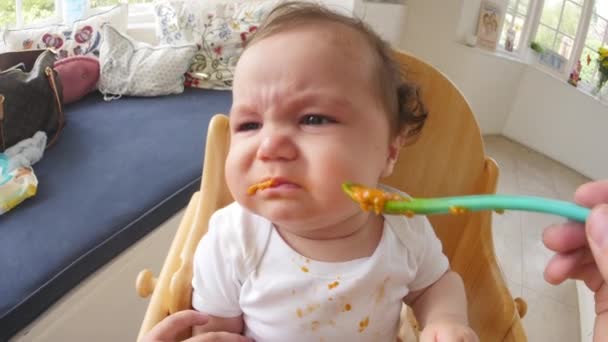 Baby Being Fed In High Chair — Stock Video