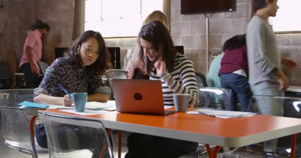 Dizüstü bilgisayar kullanan kadın tasarımcıları — Stok video