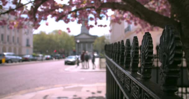 London street in het voorjaar — Stockvideo