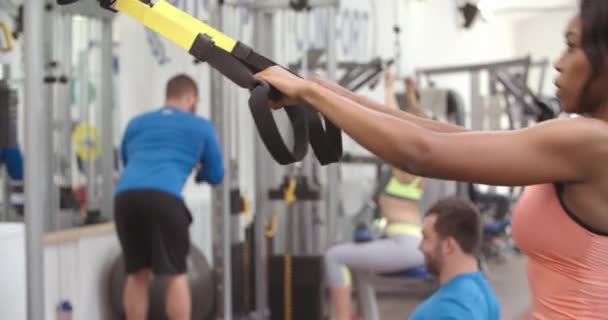 Женщина, занимающаяся силовой тренировкой — стоковое видео