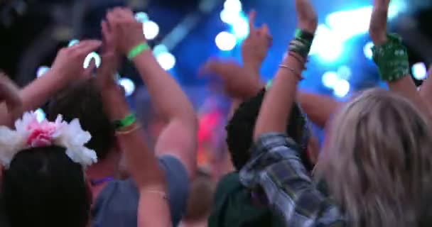 Φίλοι στο ακροατήριο σε ένα φεστιβάλ μουσικής — Αρχείο Βίντεο