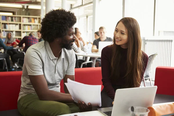 Vrouwelijke Student werkt met Tutor — Stockfoto