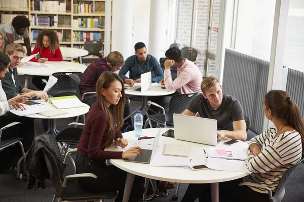 Studenter och handledare som är upptagen i biblioteket — Stockfoto