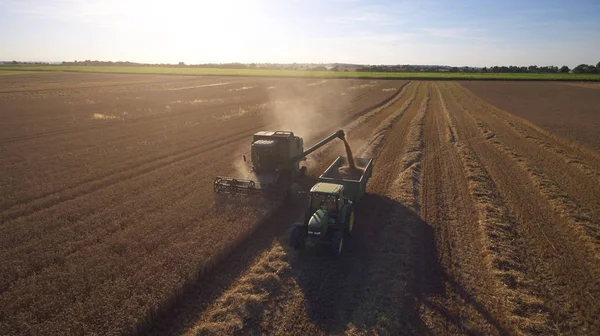 Трактор собирает пшеницу с комбайна — стоковое фото