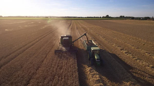 Traktor sammelt Weizen vom Mähdrescher — Stockfoto