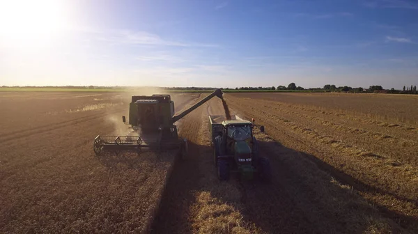 Traktor sammelt Weizen vom Mähdrescher — Stockfoto