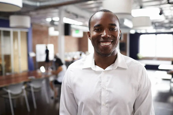 Sorridente Afro-americano Empresário — Fotografia de Stock