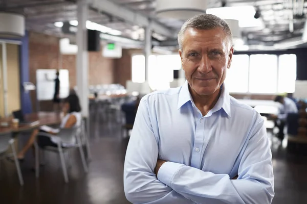 Rijpe zakenman met gekruiste handen — Stockfoto