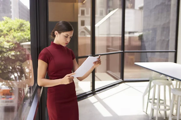 Mujer de negocios en vestido documento de lectura —  Fotos de Stock