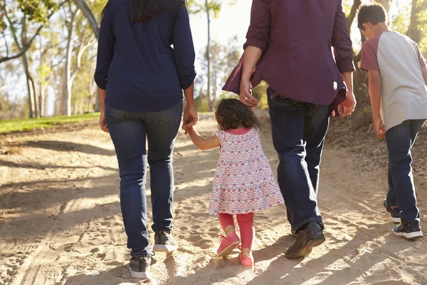 Familia en un camino rural — Foto de Stock