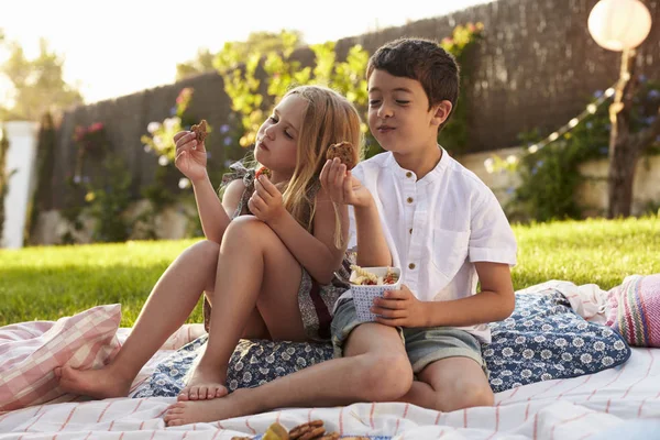 Kinderen genieten van achtertuin picknick — Stockfoto