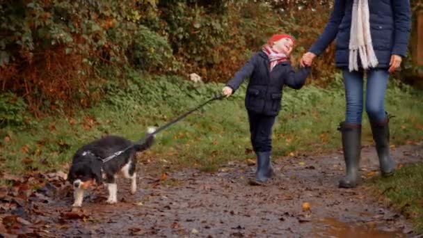 Мати і дочка беручи собаку для ходьби — стокове відео