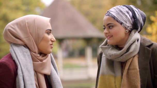 Encontro de mulheres no parque urbano — Vídeo de Stock