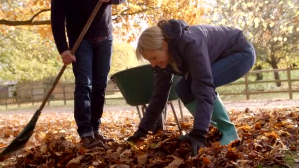 Pareja madura rastrillando hojas de otoño — Vídeos de Stock