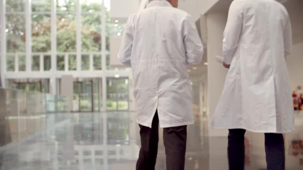 Doktorlar hastane aracılığıyla yürümek — Stok video