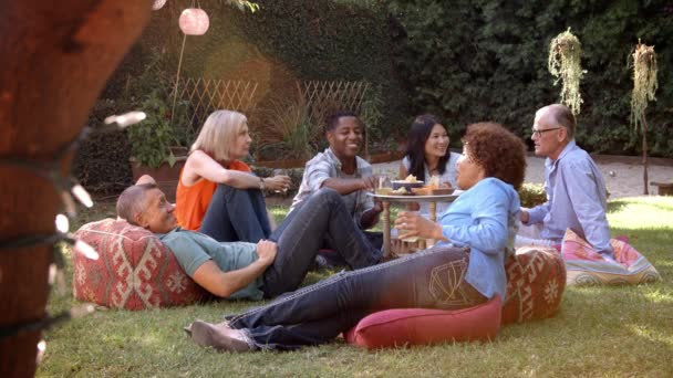 Friends Enjoying Picnic In Backyard — Stock Video