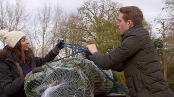 Ehepaar sichert Weihnachtsbaum auf Autodach — Stockvideo