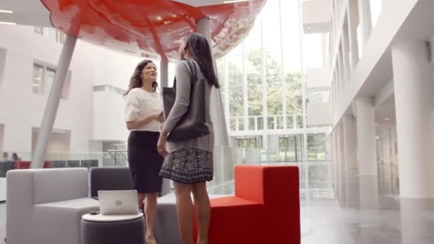 Geschäftsfrauen beim Händeschütteln — Stockvideo