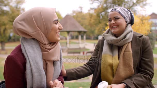 Kent parkta toplantı kadınlar — Stok video