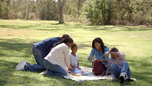 Picnic de desembalaje familiar — Vídeos de Stock