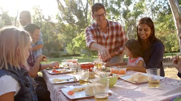 Семьи, проводящие пикник — стоковое видео