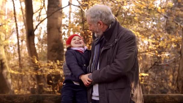Внучка с дедушкой сидит на заборе — стоковое видео