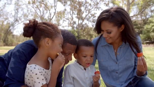 Parents and children eating picnic food — Stock Video