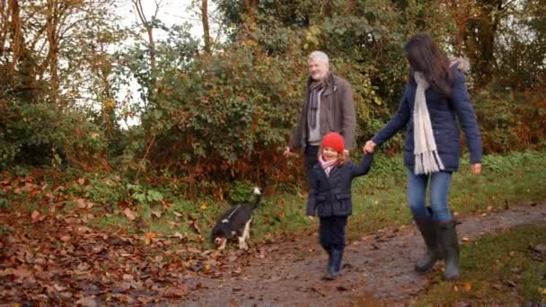 Famille prendre chien pour la promenade — Video