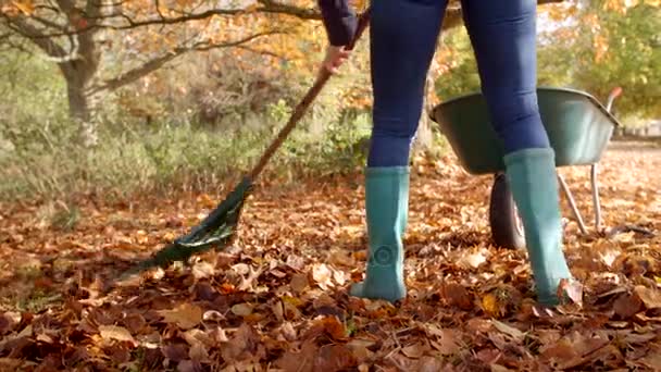 Vrouw harkt herfstbladeren — Stockvideo