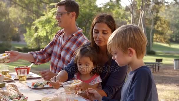 Families eating at a picnic table — Stock Video