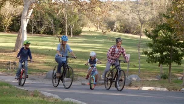 Familie fietsen in een park — Stockvideo