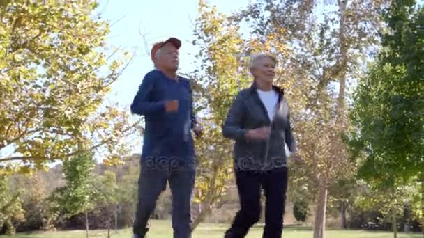 Упражнения для пожилых пар — стоковое видео