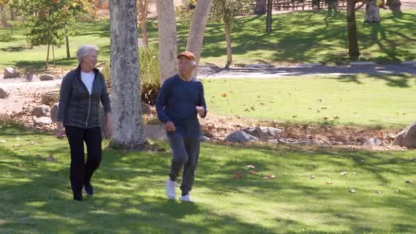 Seniorenpaar macht Power-Walking — Stockvideo