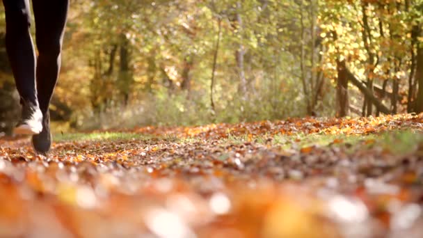 Homme courant à travers le paysage d'automne — Video