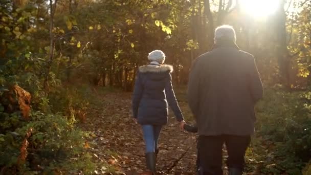 Famiglia prendere cane per passeggiata — Video Stock