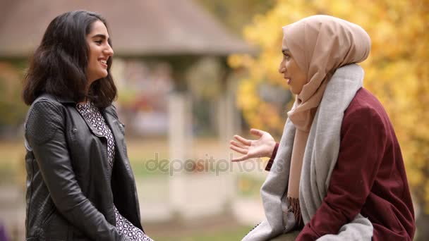 Vrouwen ontmoeten In stadspark — Stockvideo