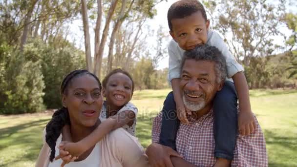 Бабушка и дедушка с внуками в парке — стоковое видео
