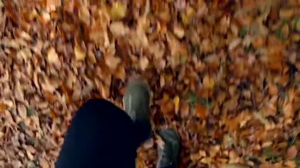 Людина крізь осінній пейзаж — стокове відео