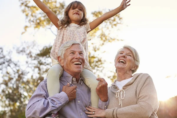 Бабусі і дідусі дарують онуці Плече їздити — стокове фото