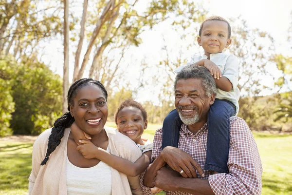 Grands-parents et petits-enfants en promenade dans le parc — Photo