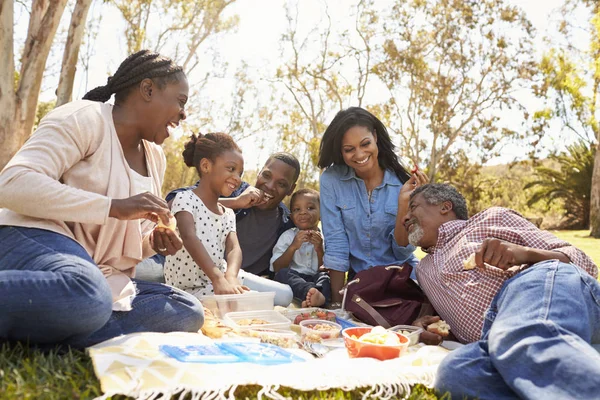 Multi generatie familie genieten van picknick — Stockfoto