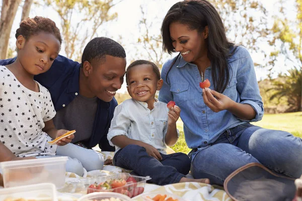 Familia disfrutando de un picnic de verano —  Fotos de Stock