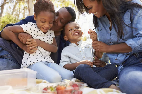 Familie genießt Sommerpicknick — Stockfoto