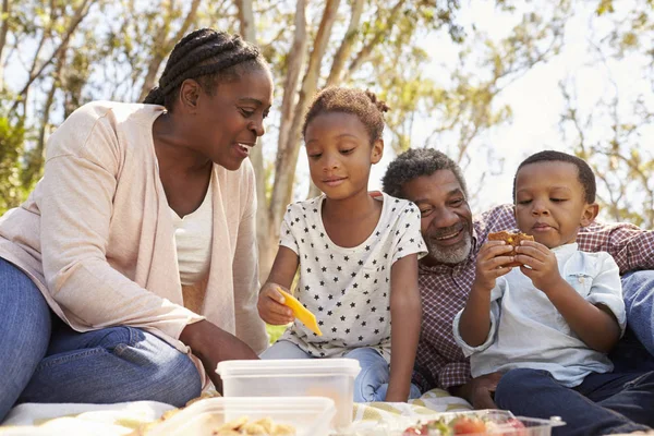 Abuelos y nietos disfrutan de un picnic — Foto de Stock