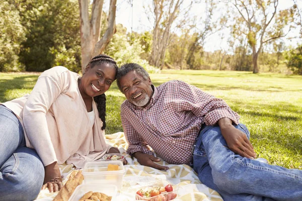 Starsza para cieszyć piknik — Zdjęcie stockowe