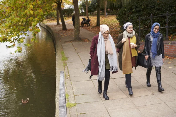 Amici femminili musulmani britannici — Foto Stock