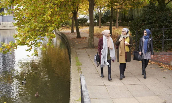 British Muslim Female Friends — Stock Photo, Image