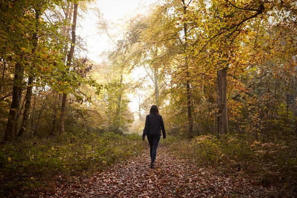 Mulher caminhando em Autumn Woodland — Fotografia de Stock